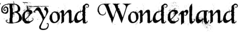 beyond wonderland