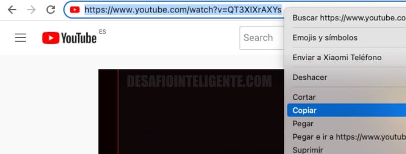 copiar url youtube